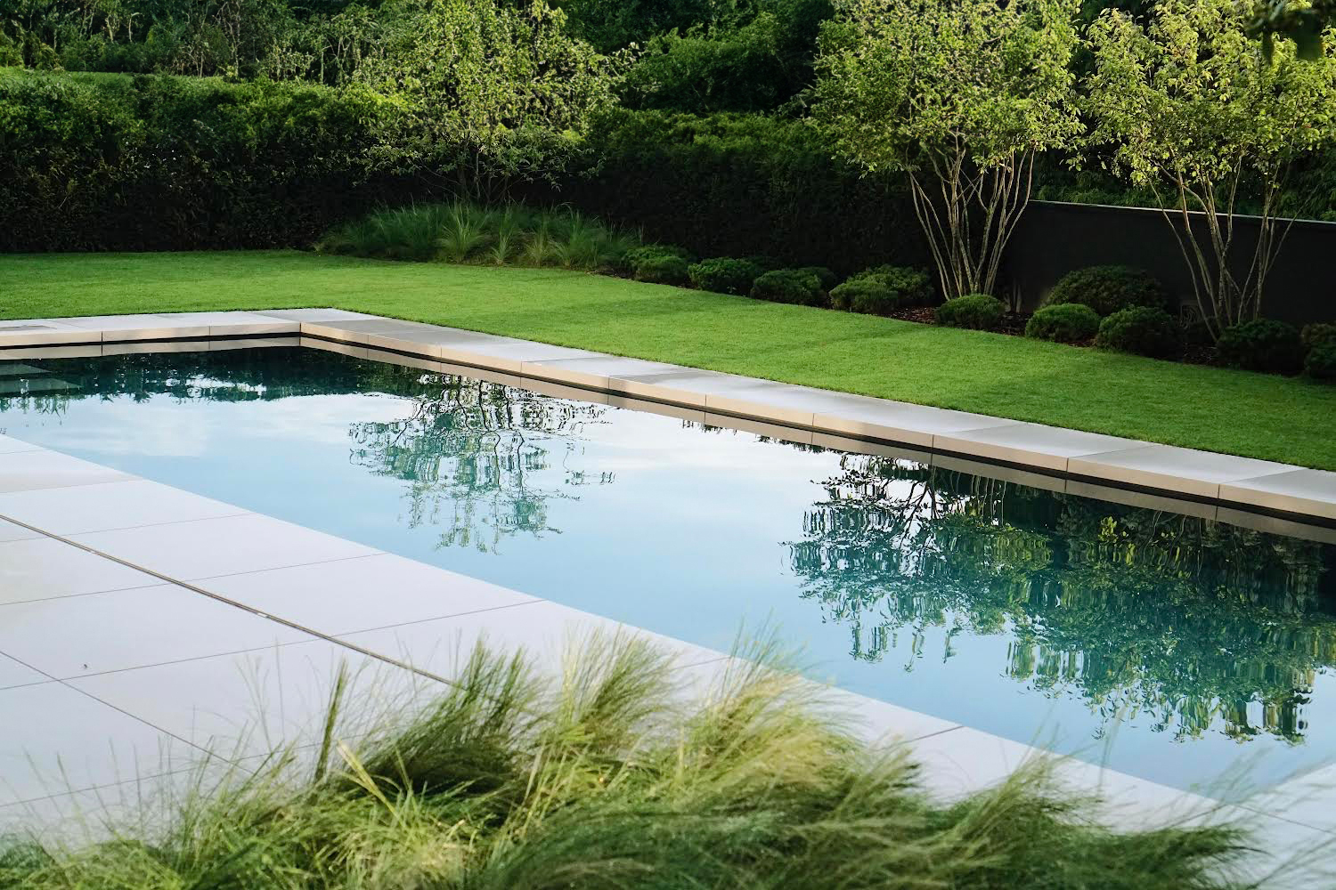 Baumpflege & Fällung